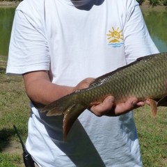 Турбаза Солнечный остров, Средняя Ахтуба, Волгоградская область