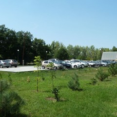 Турбаза Солнечный остров, Средняя Ахтуба, Волгоградская область