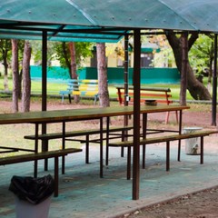 Турбаза Солнечный остров, Средняя Ахтуба, Волгоградская область