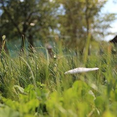 База отдыха Изумруд, Ленинский район, Волгоградская область
