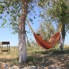 Турбаза Солнечный остров, Средняя Ахтуба, Волгоградская область