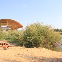 Турбаза Солнечный остров, Средняя Ахтуба, Волгоградская область