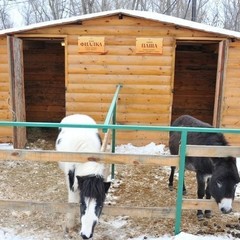 База отдыха Лазурит, Средняя Ахтуба, Волгоградская область