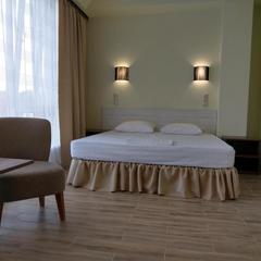 Отель Central Inn Conference Hotel, Ставрополь, Ставропольский край