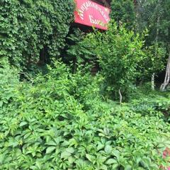 Гостевой дом Михайловские бани, Ставрополь, Ставропольский край