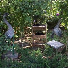 Гостевой дом Михайловские бани, Ставрополь, Ставропольский край