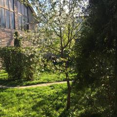 Гостевой дом Михайловские бани, Ставрополь, Ставропольский край