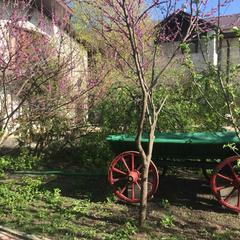 Гостевой дом Михайловские бани, Ставрополь, Ставропольский край