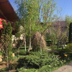 Гостевой дом Михайловские бани, Ставрополь, Ставропольский край