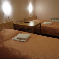 Гостиница Визит, Старая Купавна, Московская область