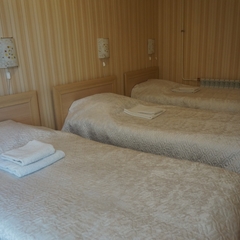 Гостиница Визит, Старая Купавна, Московская область