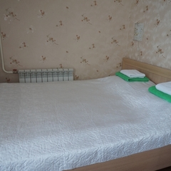 Гостиница Визит, Старая Купавна, Московская область