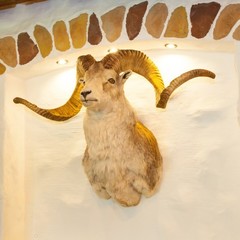 База отдыха Рыблово, Старица, Тверская область