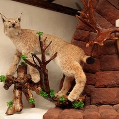 База отдыха Рыблово, Старица, Тверская область