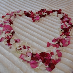 Отель Гостевой Домик, Старый Оскол, Белгородская область