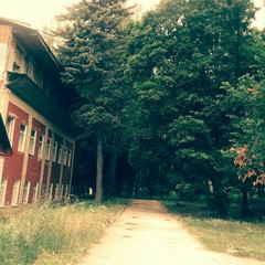 Усадьба Ведрова, Стегаловка, Липецкая область