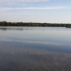 Усадьба Ведрова, Стегаловка, Липецкая область