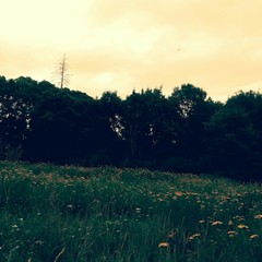 Усадьба Ведрова, Стегаловка, Липецкая область