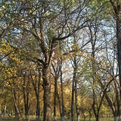 Усадьба Ведрова, Стегаловка, Липецкая область