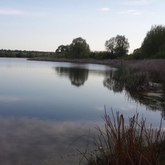 Усадьба Ведрова, Стегаловка, Липецкая область
