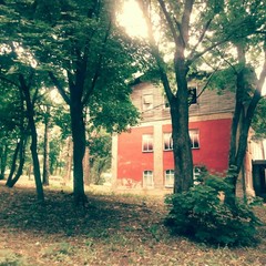 Усадьба Ведрова, Стегаловка, Липецкая область