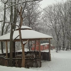 Усадьба Ведрова, Стегаловка, Липецкая область