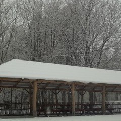 Усадьба Ведрова, Стегаловка, Липецкая область