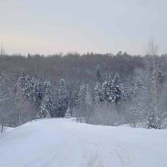 База отдыха Сказка, Степаново, Московская область