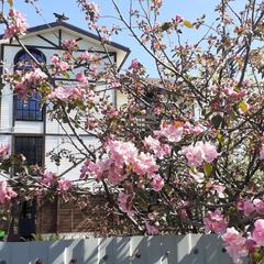 Гостевой дом Старая Стрельна, Стрельна, Ленинградская область