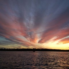 Рыболовная база Нижнее Займище, Ступино, Московская область