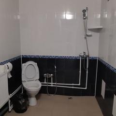 Гостевой дом Старая Стрельна, Стрельна, Ленинградская область