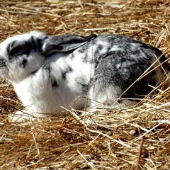База отдыха Ступинская, Ступино, Московская область