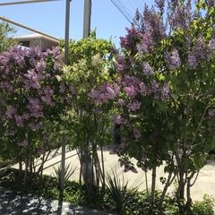 Пансионат Азария, Судак, Крым