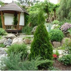 Отель Солнечный замок, Судак, Крым