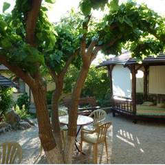 Отель Солнечный замок, Судак, Крым