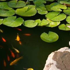 Отель Солнечный замок, Судак, Крым