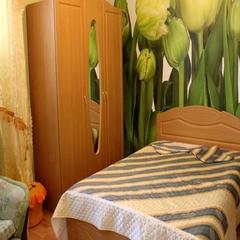 Гостевой дом Владимирский двор, Судак, Крым