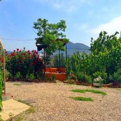 Гостевой дом Крымская роза, Судак, Крым