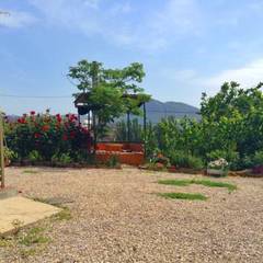 Гостевой дом Крымская роза, Судак, Крым