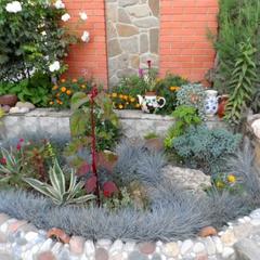 Отель Лоза, Судак, Крым