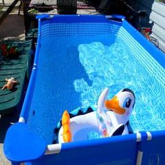 Гостевой дом Лилия, Судак, Крым