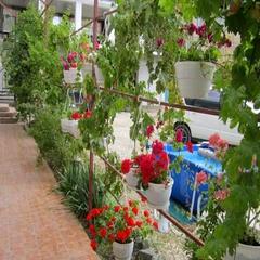 Гостевой дом Лилия, Судак, Крым