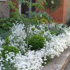 Отель Лоза, Судак, Крым