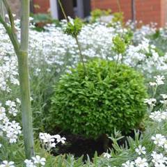 Отель Лоза, Судак, Крым