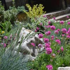 Отель Лоза, Судак, Крым