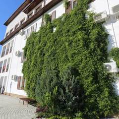 Отель Барселона, Судак, Крым