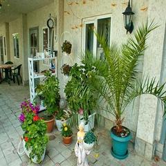 Пансионат Чемпион, Судак, Крым