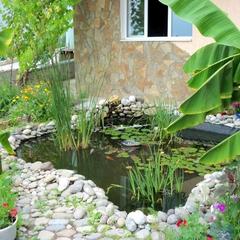 Вилла Светлана, Судак, Крым