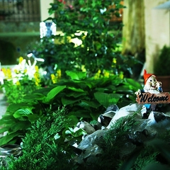 Гостиница ALBINA, Судак, Крым