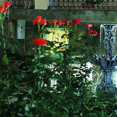 Гостиница ALBINA, Судак, Крым